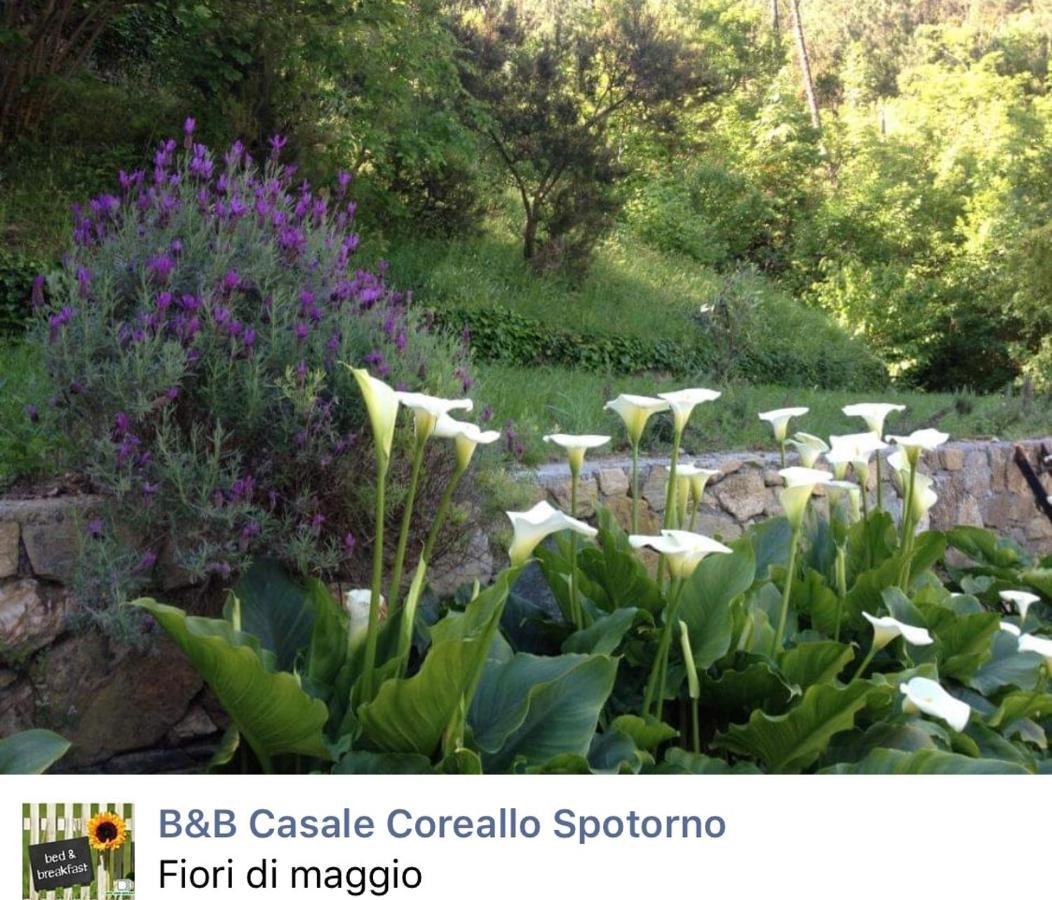 B&B Casale Coreallo Spotorno Exterior foto