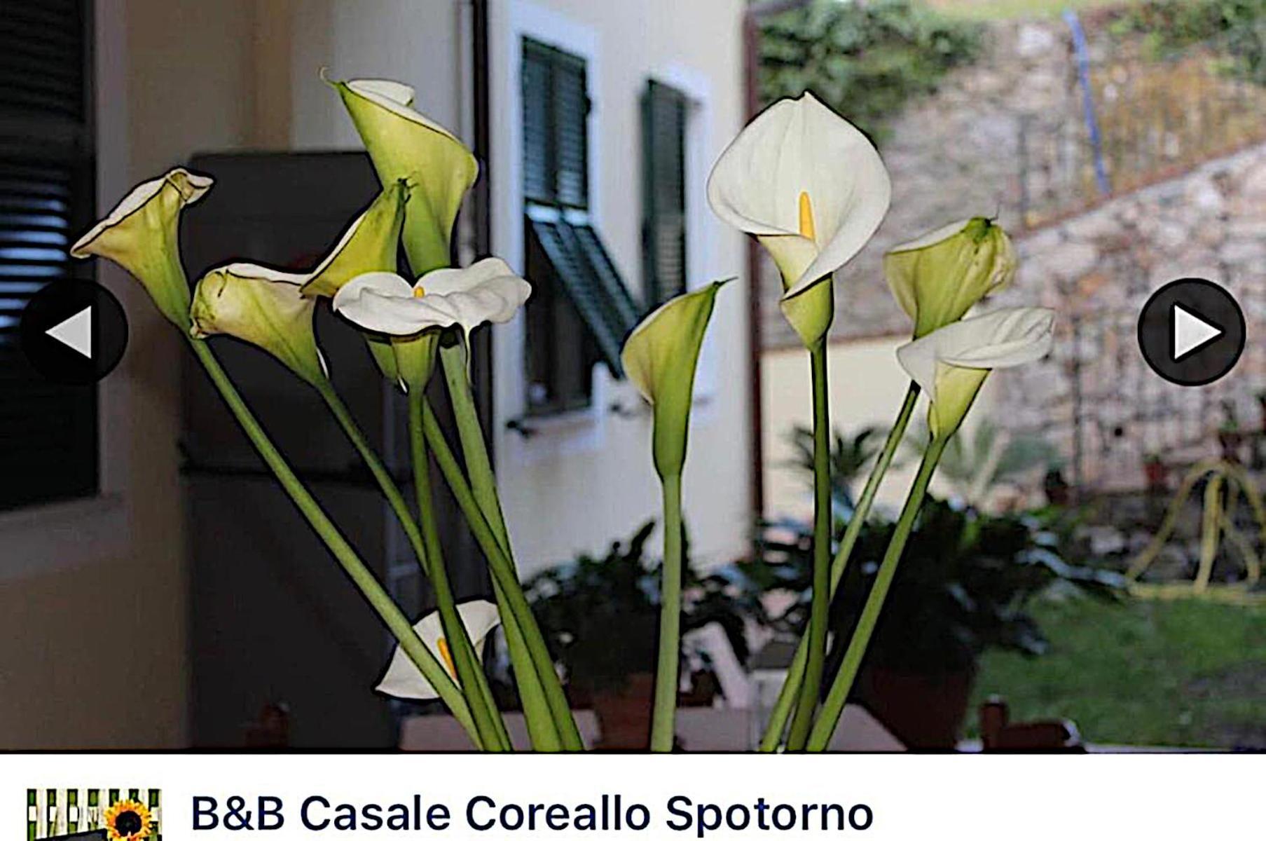 B&B Casale Coreallo Spotorno Exterior foto